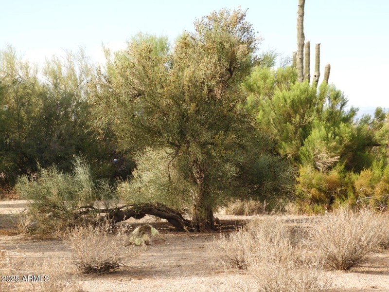 PHOTO-2025-08-16-08-51-35