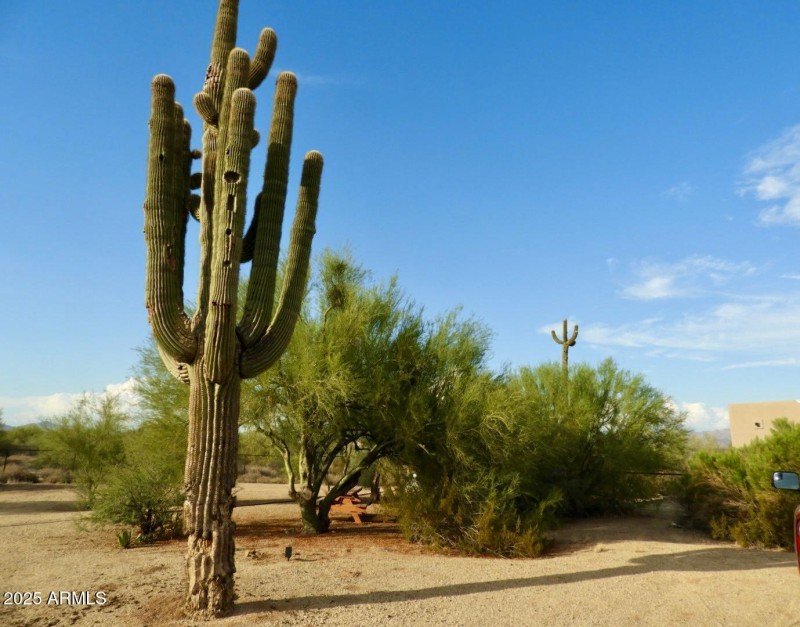 PHOTO-2025-08-16-08-51-36 (2)