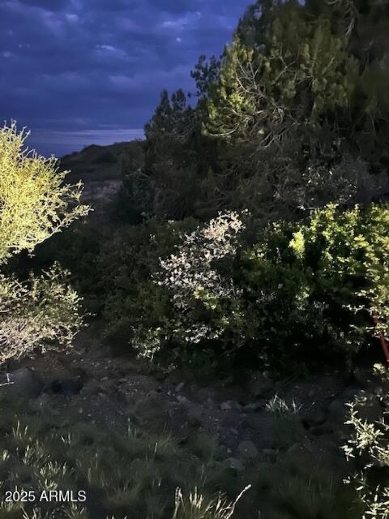Evening views