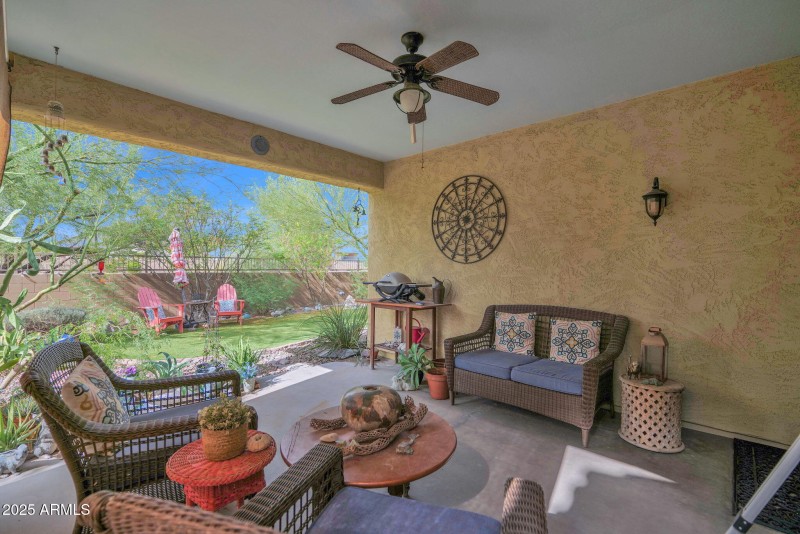 28-web-or-mls-P1281745