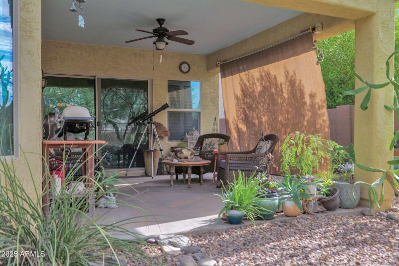 37-web-or-mls-P1281754