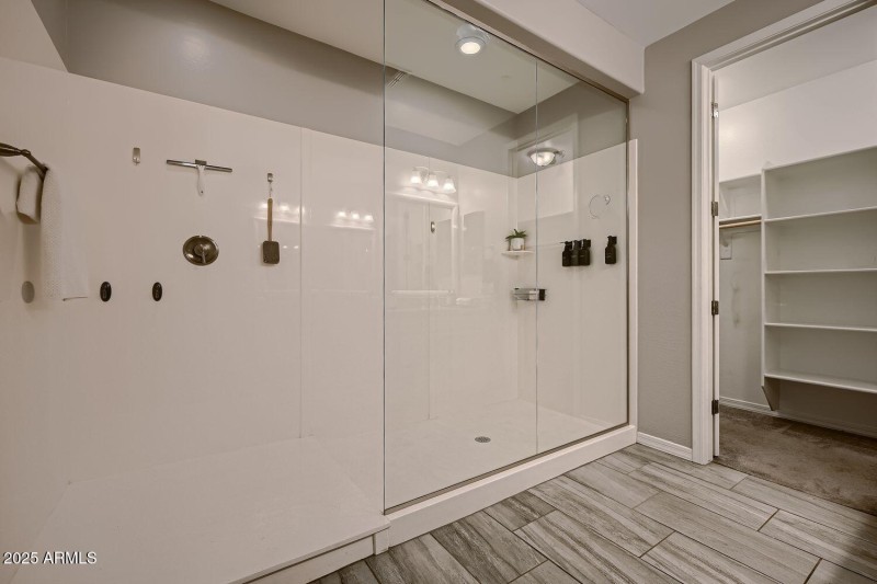 Primary Shower