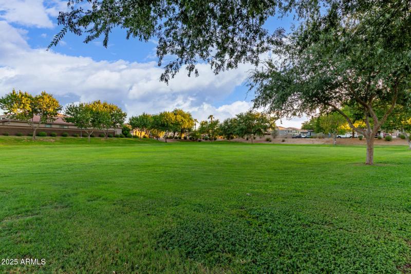 No houses directly across the street.