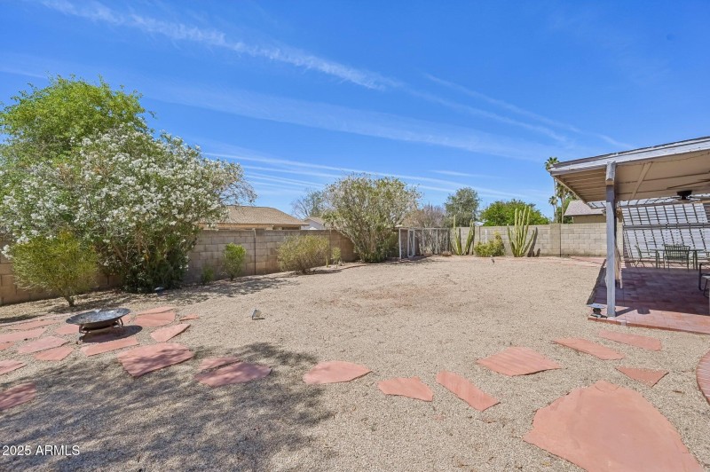 Views of the backyard