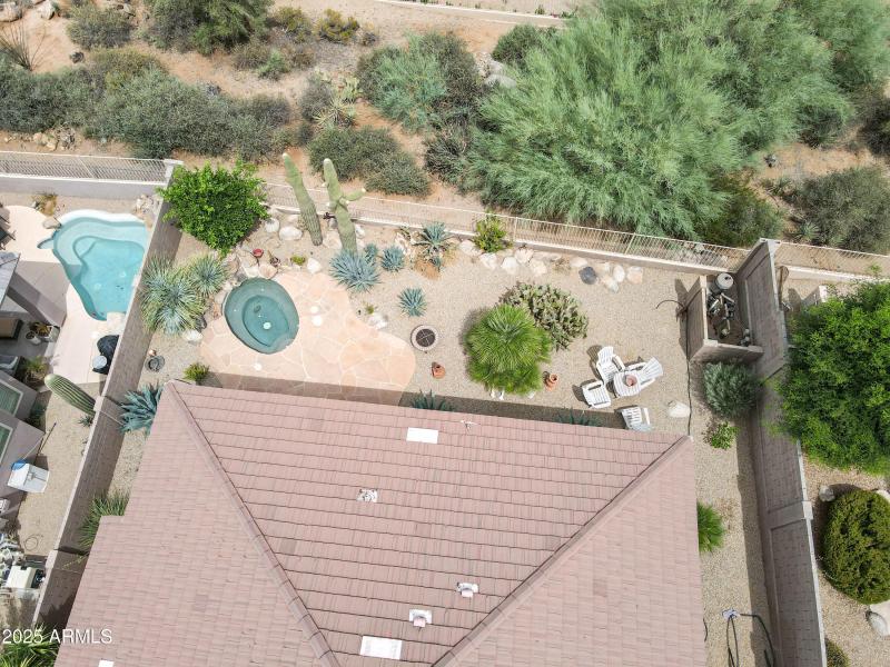 11582 christmas cholla drone-9