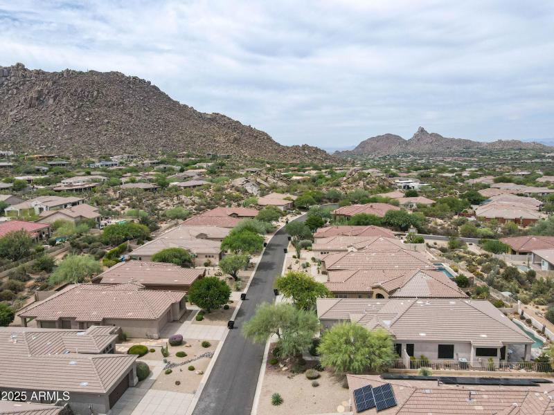 11582 christmas cholla drone-23