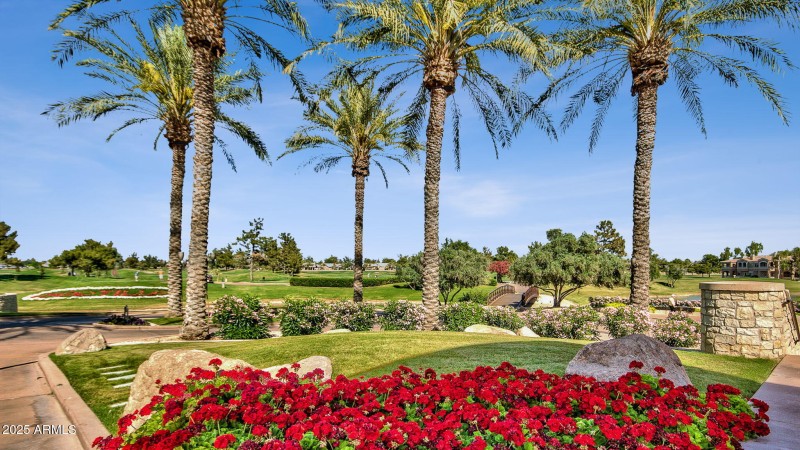 48-web-or-mls-3763-s-rosemary-dr