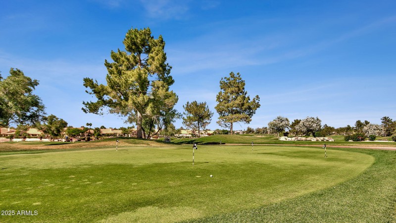 50-web-or-mls-3763-s-rosemary-dr