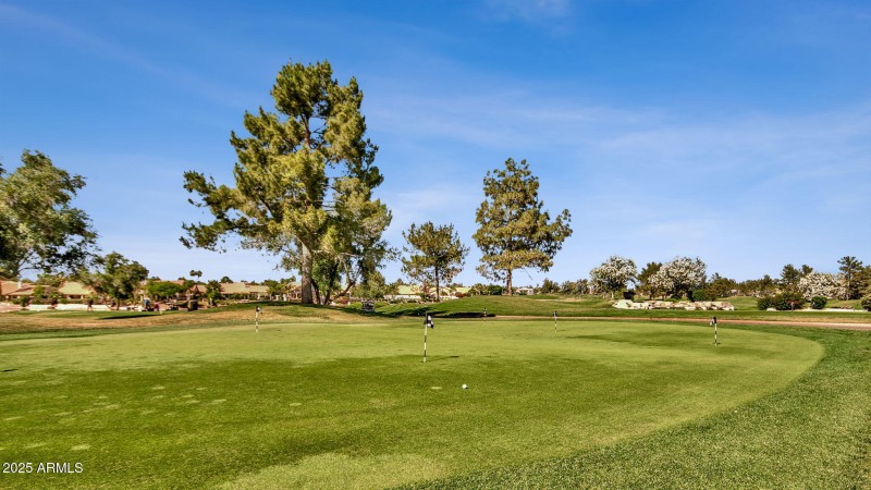 51-web-or-mls-3763-s-rosemary-dr