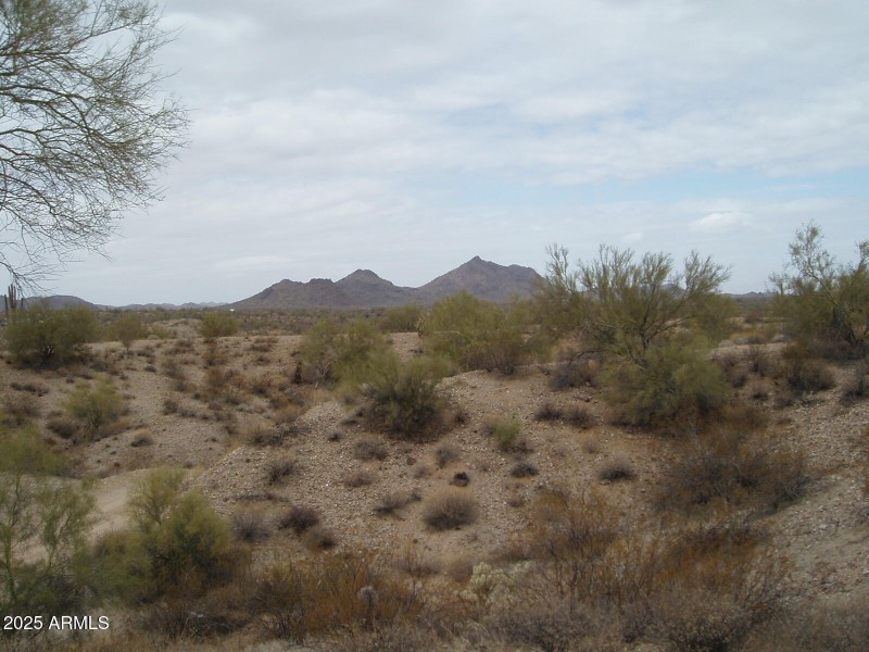 P2120003