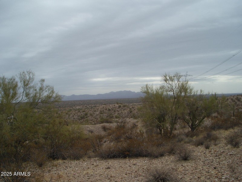 P2120011