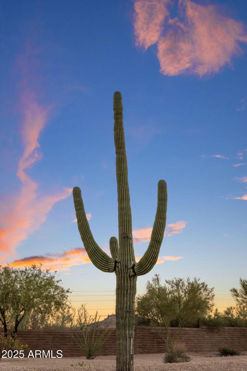 81-web-or-mls-IMG_1517