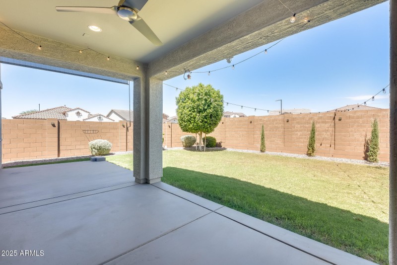 Covered Patio / Backyard