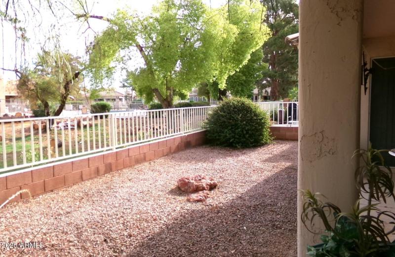 Back Yard facing pool