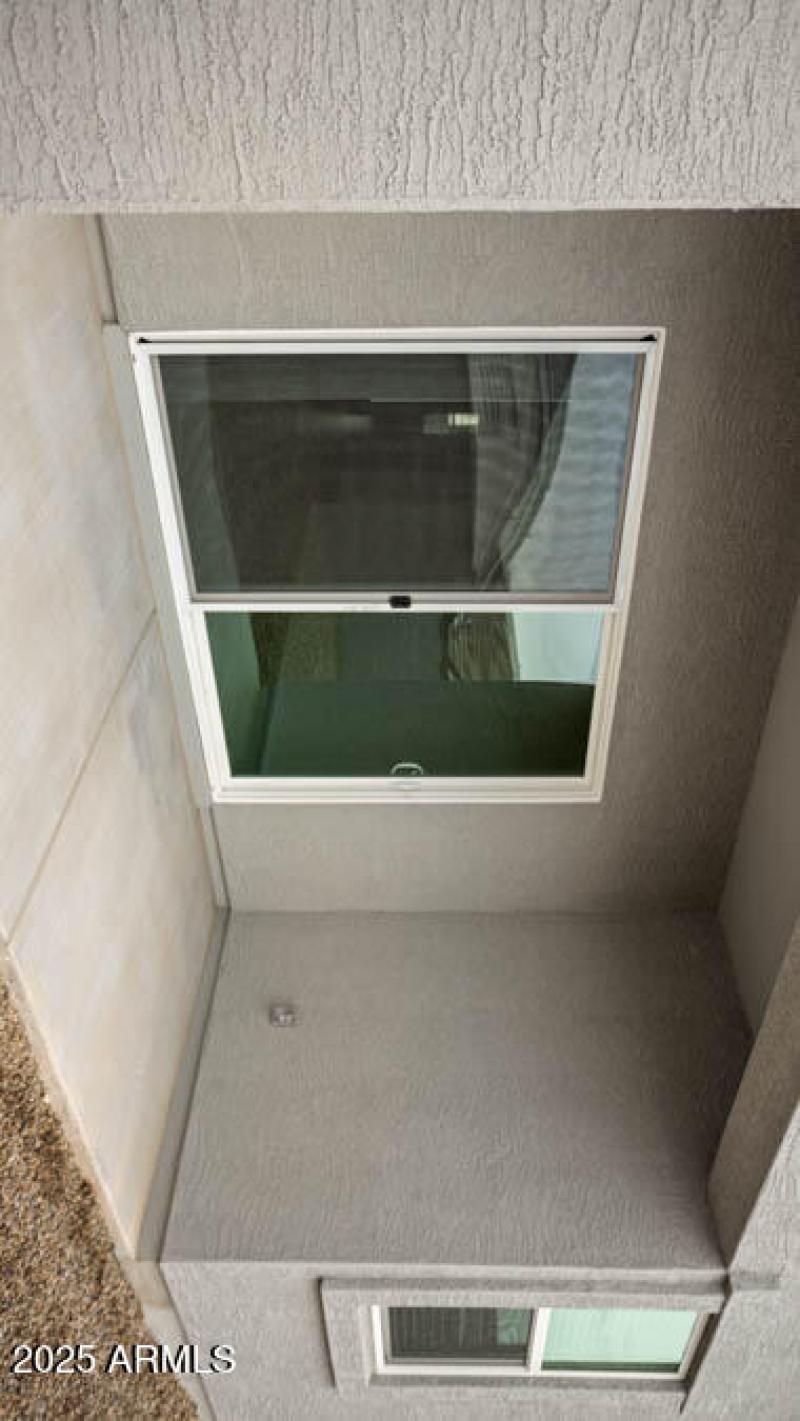 Mockingbird-Estrella Vista-3730-Buckeye-