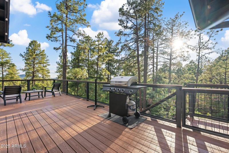 Extended Trex Deck perfect for Entertain