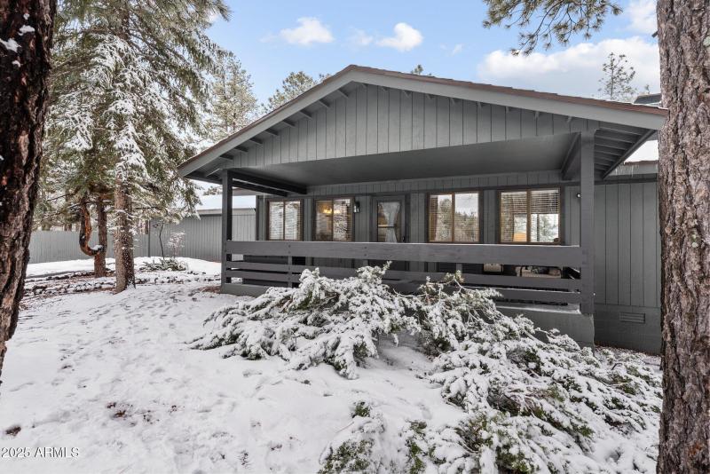 Front Porch in Winter