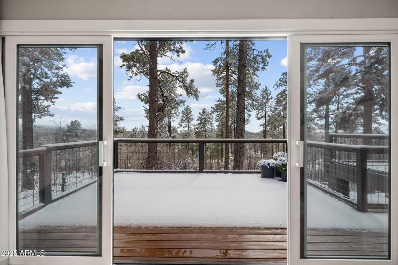 Primary Bedroom with Winter views