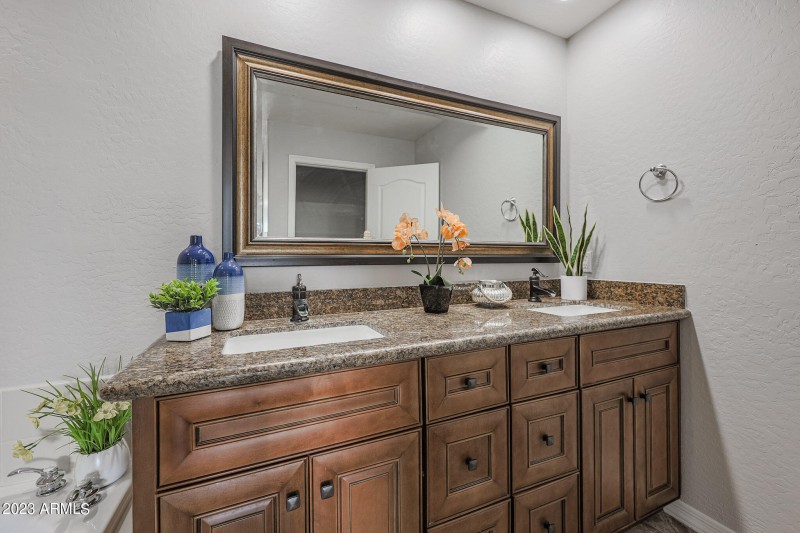 Dual sinks