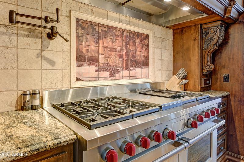 Gourmet Wolf Range & Hood