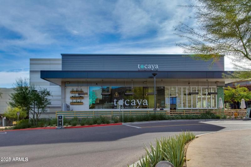 Camelview z - Tocaya