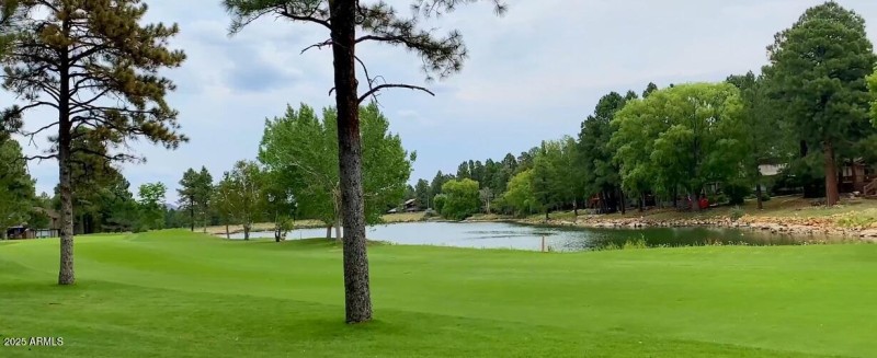 views from back deck