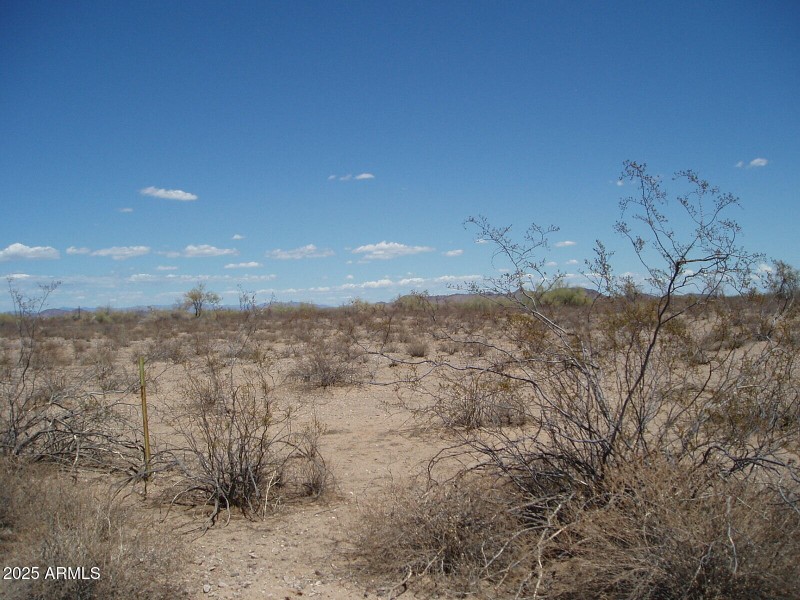 P8300011