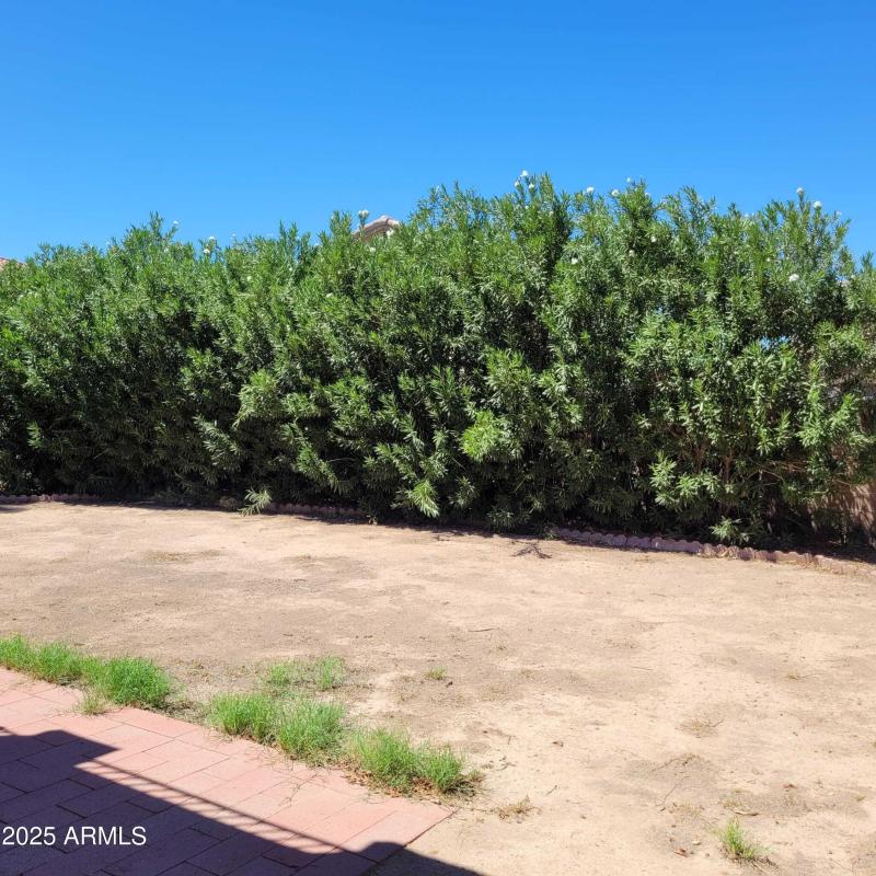 WhatsApp Image 2025-09-01 at 22.56.00 (2