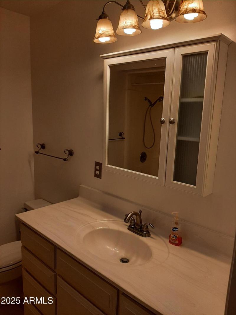 Hall Bath Vanity