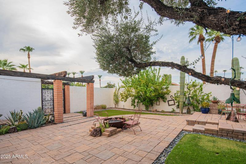 Front Yard/Courtyard