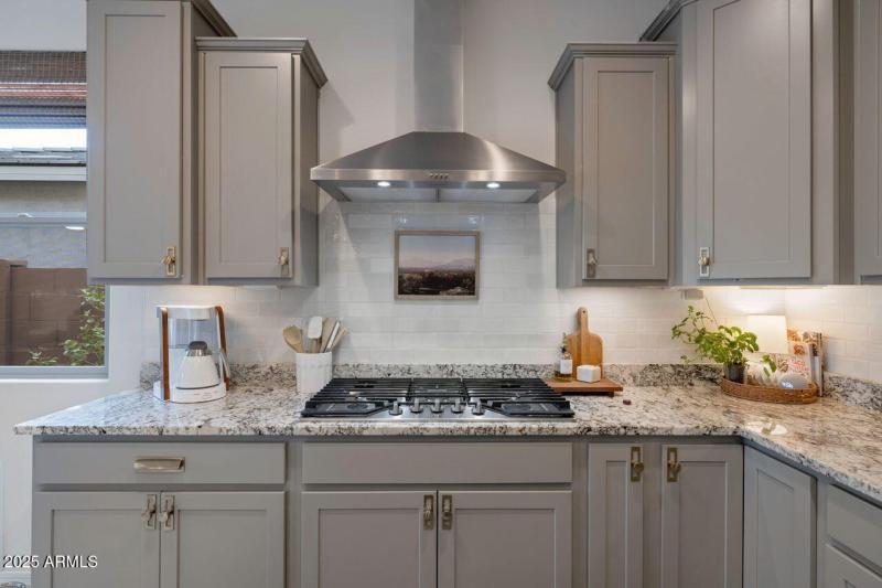 Gas stove with stylish vent hood