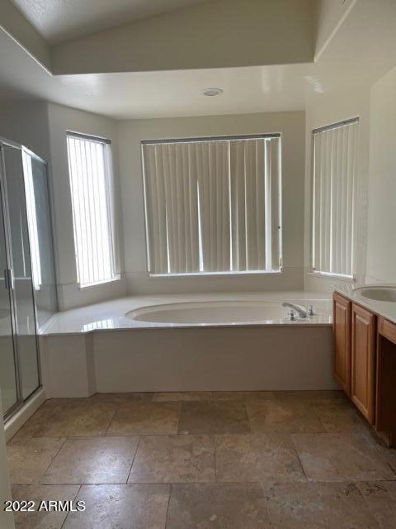 Main Bath Tub