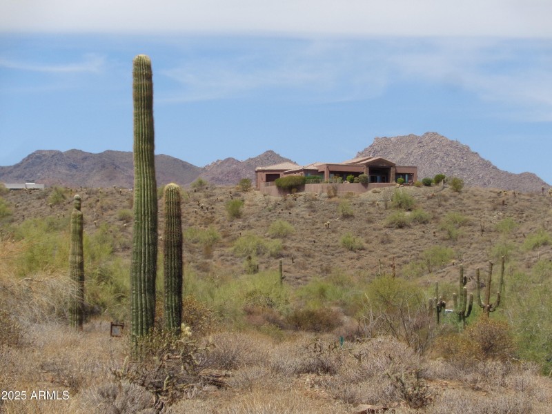 McDowell Mountains