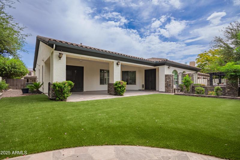 683c77_39 - Buckboard