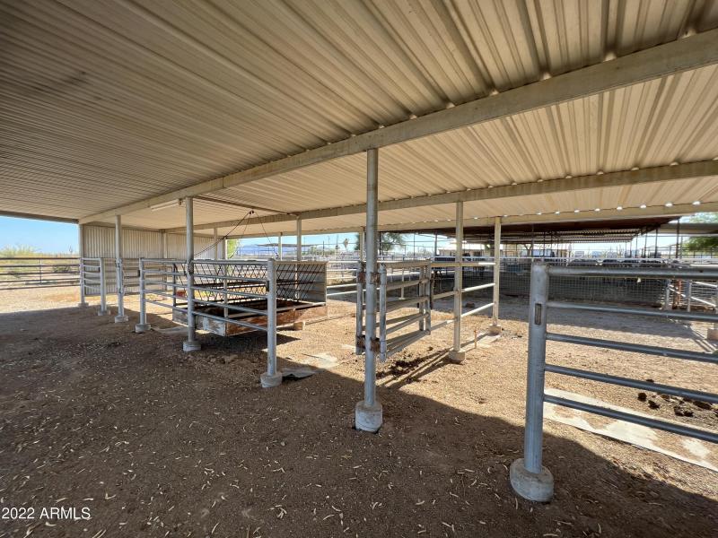 Shaded Horse Stables