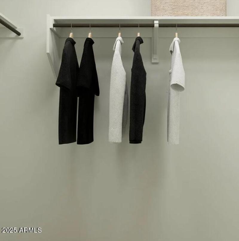 Owners Walk in Closet