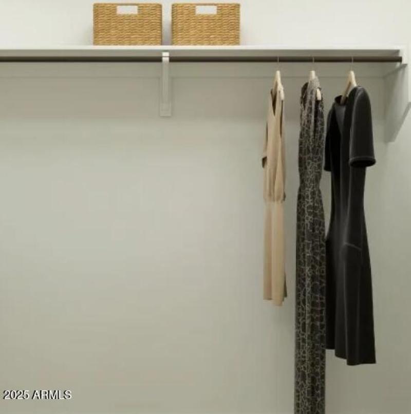 Owners Walk in Closet