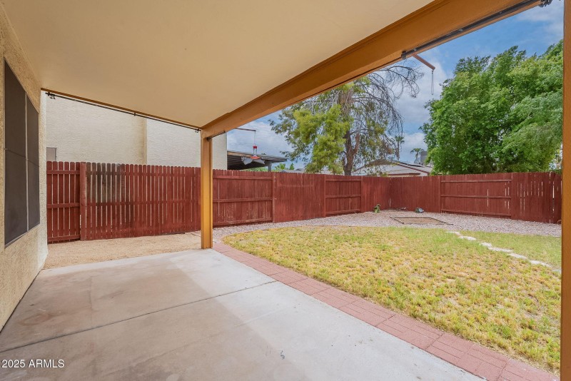 Back covered patio and yard