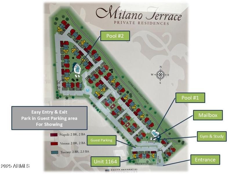 36 THANK YOU for Showing