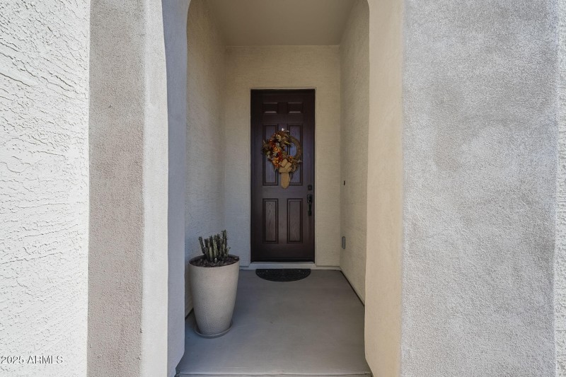 4-web-or-mls-Bullhead-7