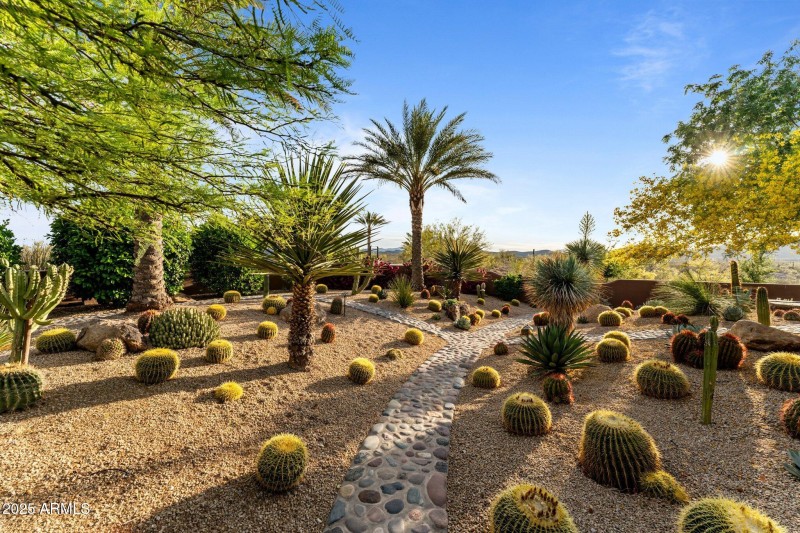 Desert Botanical Garden Path