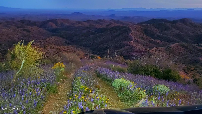 Miles of Custom Trails