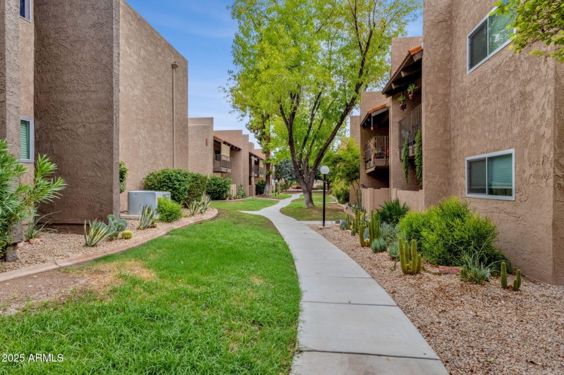 30-web-or-mls-5525-e-thomas-rd-m9