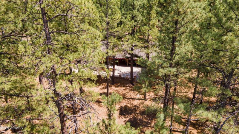 3-web-or-mls-DJI_0394