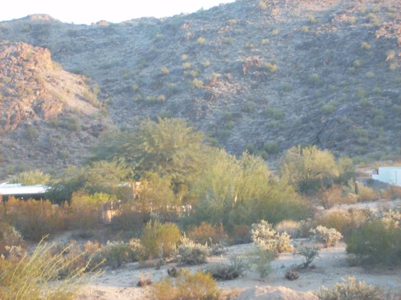 View south to Mountain