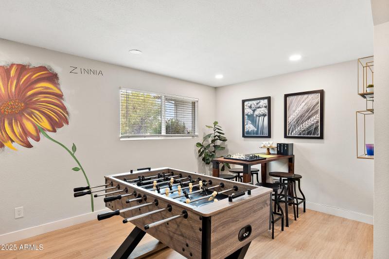 Lower Level Living Area