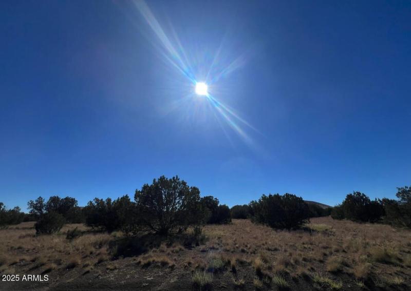 Screenshot 2025-09-05 at 3.42.15PM