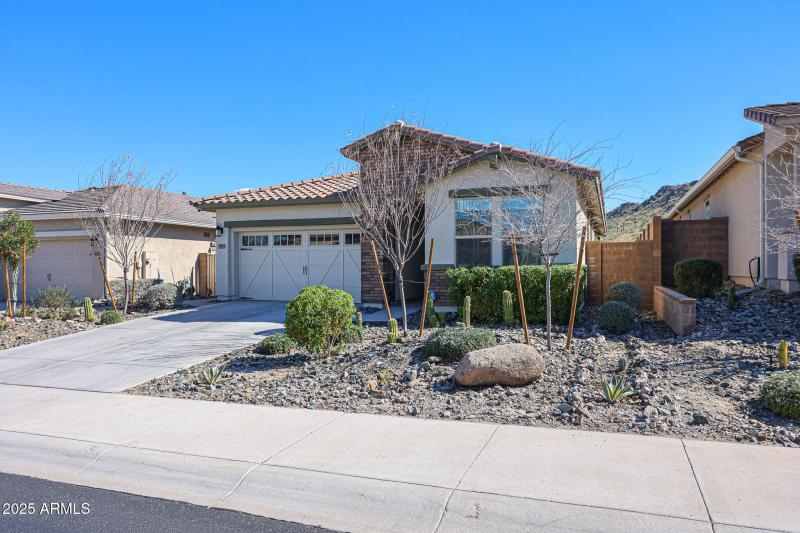 Low Maintenance Yard