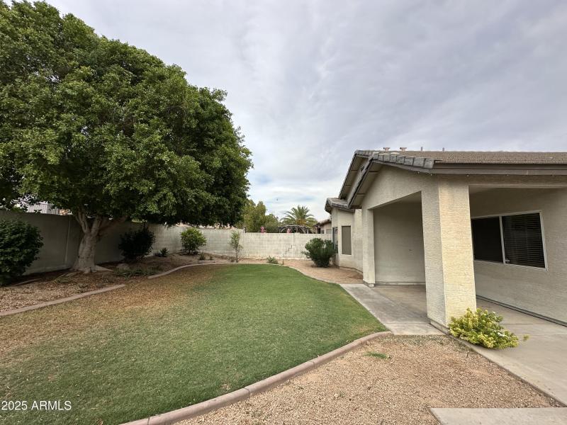 Back yard with Grass and Trees