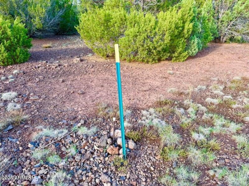 20250906015330422306000000-o